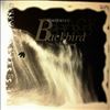 Siri's Svale Band -- Blackbird (2)