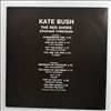 Bush Kate -- Red Shoes (3)