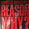 Angelic Upstarts -- Reason Why (2)