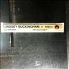 Buckingham Lindsey -- Go Insane (1)