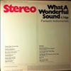 Various Artists -- What A Wonderful Sound - Fantastic Instrumentals 4. Folge (1)