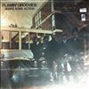 Flamin' Groovies -- Shake Some Action (2)