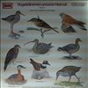 Голоса птиц в природе -- Vogelstimmen unserer Heimat - Folge 3 (1)
