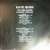 Bush Kate -- Red Shoes (3)