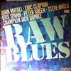 Various Artists -- Raw Blues (2)