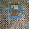 Ozark Mountain Daredevils -- Dare devils (2)