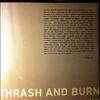 Ariel Pink -- Thrash And Burn (2)