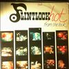 Flintlock -- Hot From The Lock (1)