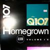 Various Artists -- Q107 Homegrown - Volume 9 (1)