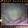 Badarou Wally -- Words Of A Mountain (2)