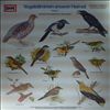 Голоса птиц в природе -- Vogelstimmen unserer Heimat - Folge 2 (1)