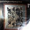 Captain Beefheart & His Magic Band -- Mirror Man (2)
