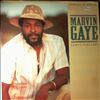 Gaye Marvin -- Sanctified Lady (Special 12" Single) (2)