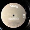 Sting -- Nothing Like The Sun (2)