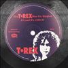 Tyrannosaurus Rex (T. Rex) -- T. Rex Wax Co. Singles A's And B's 1972-77 (2)
