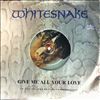 Whitesnake -- Give Me All You Love (2)