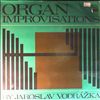 Vodrazka Jaroslav (organ) -- Organ Improvisations (2)