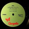 Strife -- Rush (3)