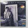 Buckingham Lindsey -- Go Insane (1)