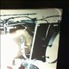 Free -- Live In Stockholm 1970 (1)