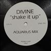 Divine -- Shake It Up (Aquarius Mixes) (1)