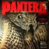 Pantera -- Great Southern Outtakes (1)
