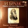 Zukerman Pinchas/Barenboim Daniel -- Brahms - Sonatas for Viola and Piano (2)