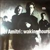 Del Amitri -- Waking Hours (2)