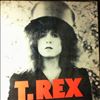 Tyrannosaurus Rex (T. Rex) -- Slider (2)