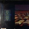 Pink Floyd -- A Momentary Lapse Of Reason (3)