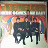 Tremeloes -- Here Comes My Baby (1)