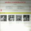 Pandelescu Vasile -- acordeon (1)