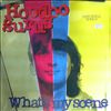 Hoodoo Gurus -- What`s my scene (1)