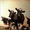 Pink Floyd -- Atom Heart Mother (2)