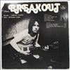 Breakout -- Karate (2)