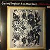 Captain Beefheart And The Magic Band -- Mirror Man (1)