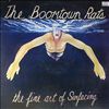 Boomtown Rats -- Fine Art Of Surfacing (3)