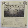 Kottke Leo -- Greenhouse (2)