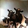 Pink Floyd -- Atom Heart Mother (3)