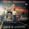 Harrison Kodac -- Just A Disguise (1)
