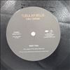 Oldfield Mike -- Tubular Bells (2)