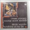 Wonder Stevie -- Sunshine of my life (2) (1)