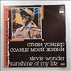 Wonder Stevie -- Sunshine of my life (2) (1)