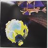 Yes -- Fragile (3)