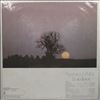 Fleetwood Mac -- Bare Trees (2)