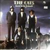 Cats -- Hard to be friends (2)