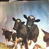 Pink Floyd -- Atom Heart Mother (3)