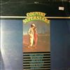 Various Artists -- Country Superstars (Vol.4) (1)