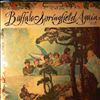Buffalo Springfield -- Buffalo Springfield Again (2)