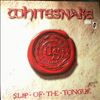 Whitesnake -- Slip Of The Tongue (2)